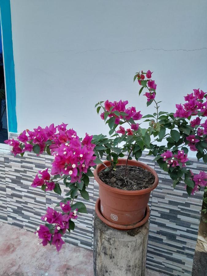 ホテル Playa Mag Coveñas エクステリア 写真